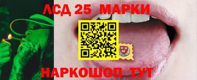 стаф Можга