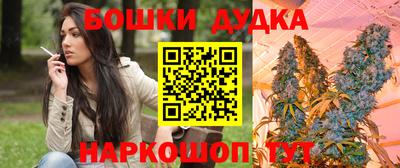 стаф Можга