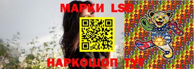 стаф Можга