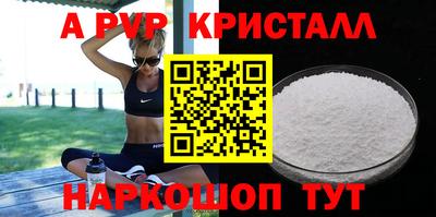 стаф Можга