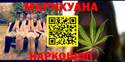 стаф Можга