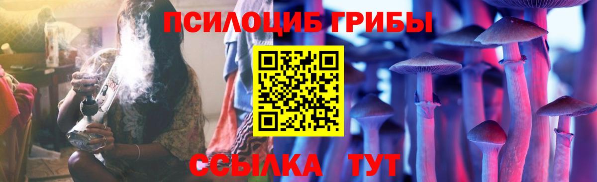 Галлюциногенные грибы прущие грибы Грязи